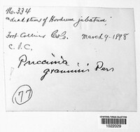 Image Associated With the Occurence
